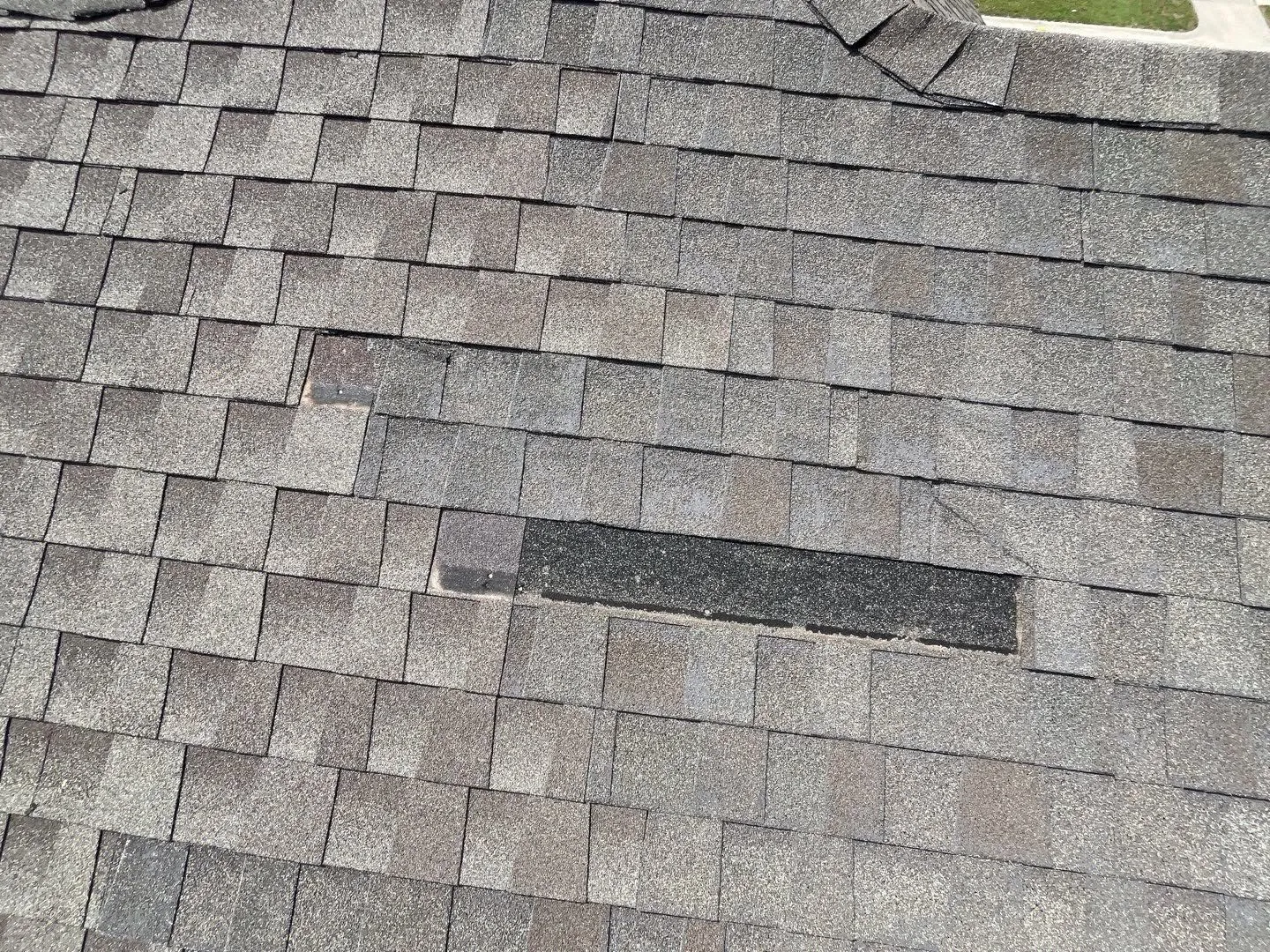 A sloped gray asphalt shingle roof with storm damage, where missing shingle tabs expose the dark underlayment and a nail head