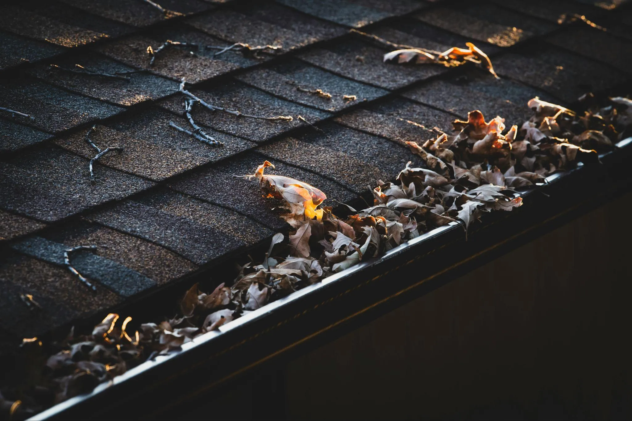 Autumn leaves collecting in a residential roof gutter