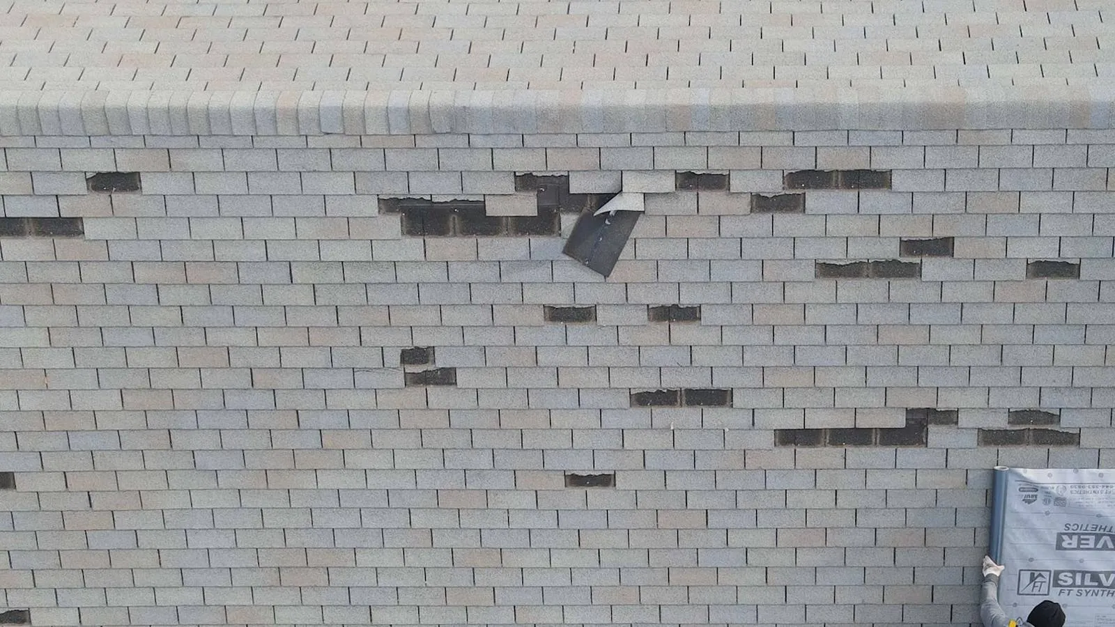 Weddle and Sons roofer starting repairs on a roof with missing shingles after a wind storm, serving Firestone, Colorado