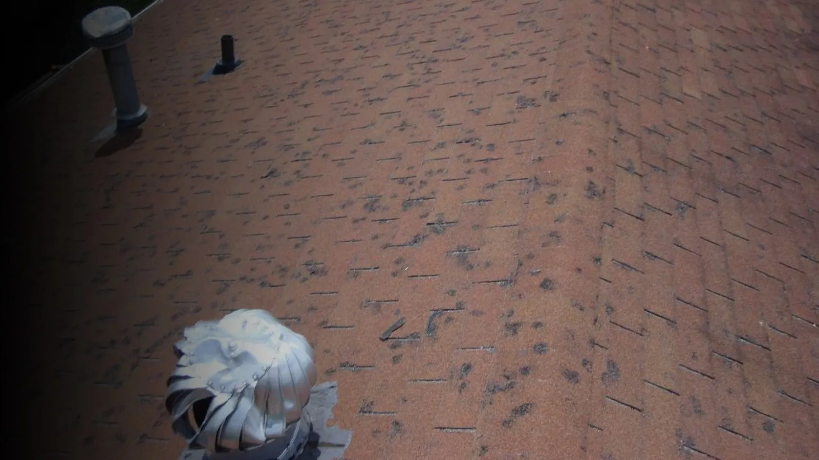 Hail bruising and granule loss across an asphalt shingle roof with roof vents